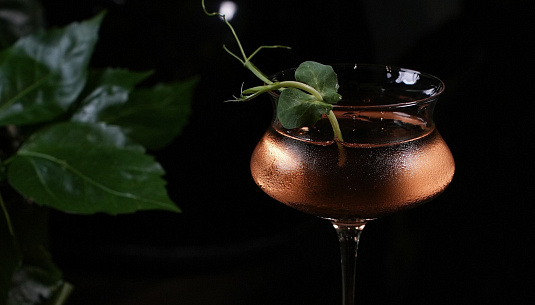 Коктейльные премьеры в оранжерее